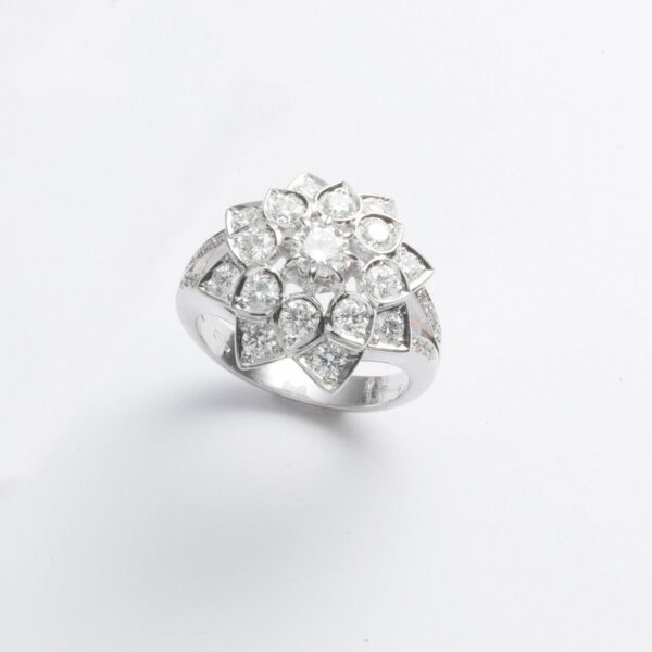 Anello Oro Bianco 18KT <br> Diamante centrale, Diamanti